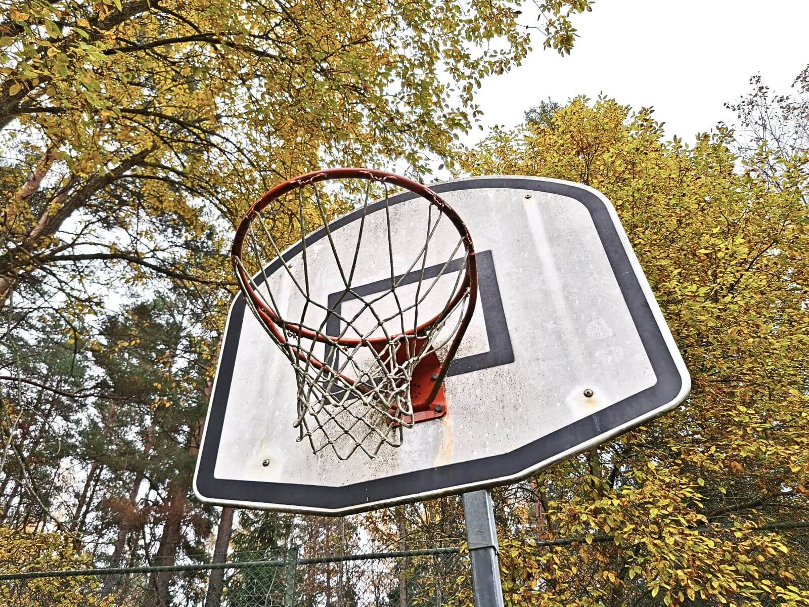 Movell - Certifierad och ackrediterad säkerhetsbesiktning av basketkorgar.